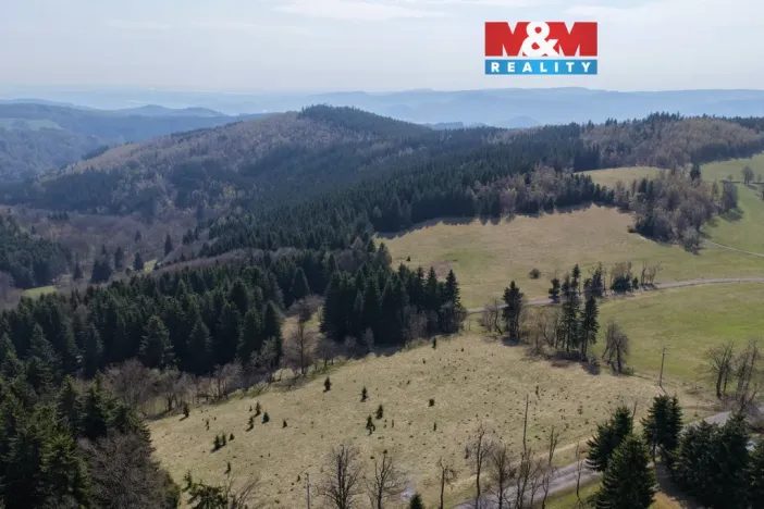Prodej lesa, Měděnec - Mýtinka, 18821 m2