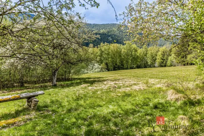 Prodej pozemku pro bydlení, Hamry, 5952 m2
