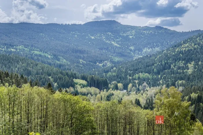 Prodej pozemku pro bydlení, Hamry, 5952 m2