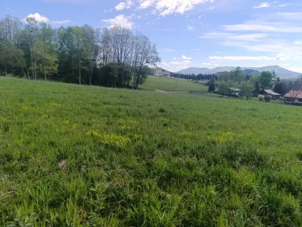 Prodej pozemku pro bydlení, Lichnov, 2292 m2