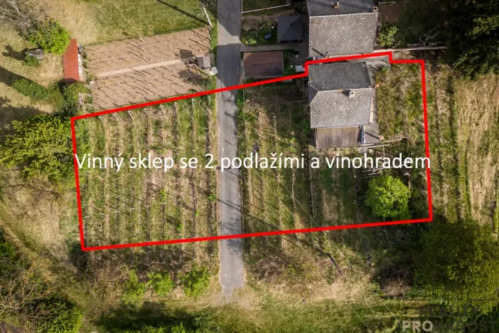 Prodej vinného sklepa, Skoronice, 144 m2