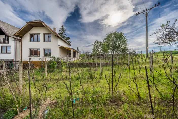 Prodej vinného sklepa, Skoronice, 144 m2