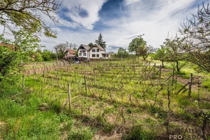 Prodej vinného sklepa, Skoronice, 144 m2