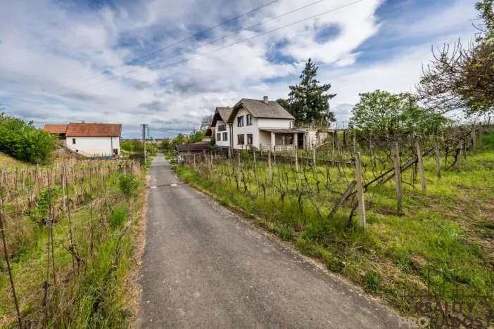 Prodej vinného sklepa, Skoronice, 144 m2