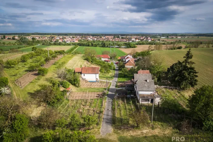 Prodej vinného sklepa, Skoronice, 144 m2