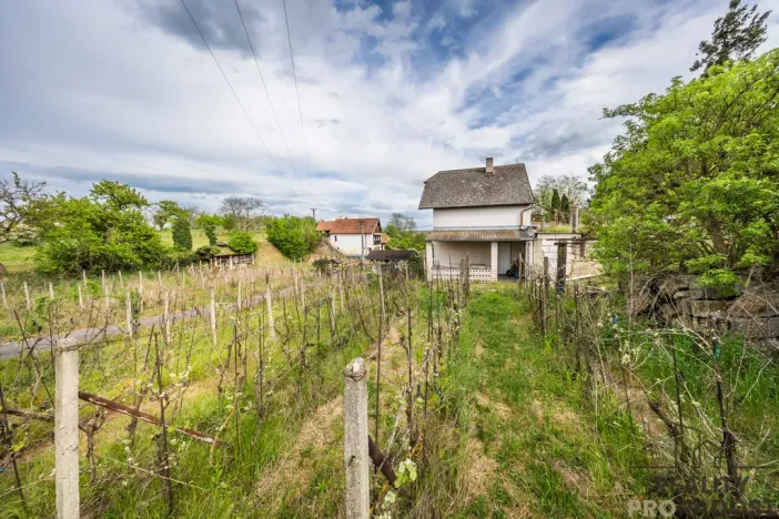 Prodej vinného sklepa, Skoronice, 144 m2