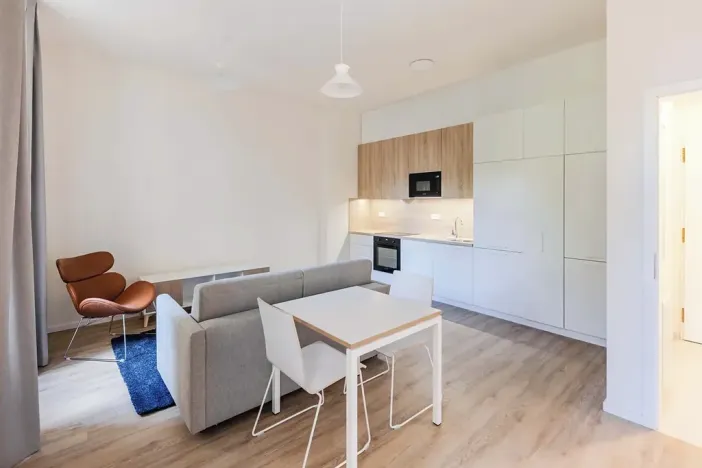 Pronájem bytu 1+kk, Praha - Bubeneč, Veletržní, 36 m2