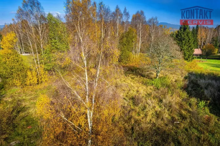 Prodej pozemku pro bydlení, Nová Pec - Nové Chalupy, 58680 m2