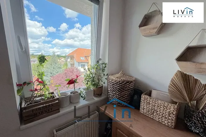 Pronájem bytu 2+1, Olomouc, Horní lán, 78 m2