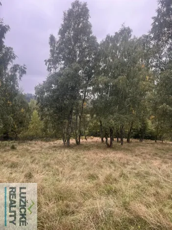 Prodej chalupy, Kytlice, 120 m2