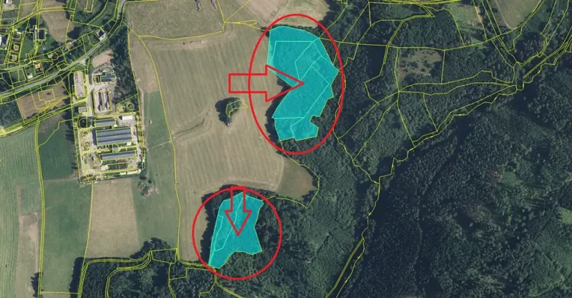 Prodej podílu lesa, Maletín, 10553 m2