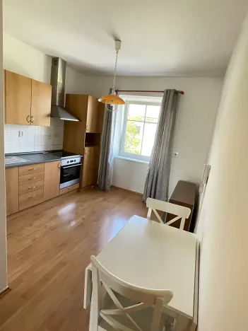 Pronájem bytu 1+1, Plzeň, Karlovarská, 33 m2