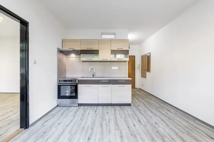 Pronájem bytu 2+kk, České Budějovice, Puklicova, 39 m2