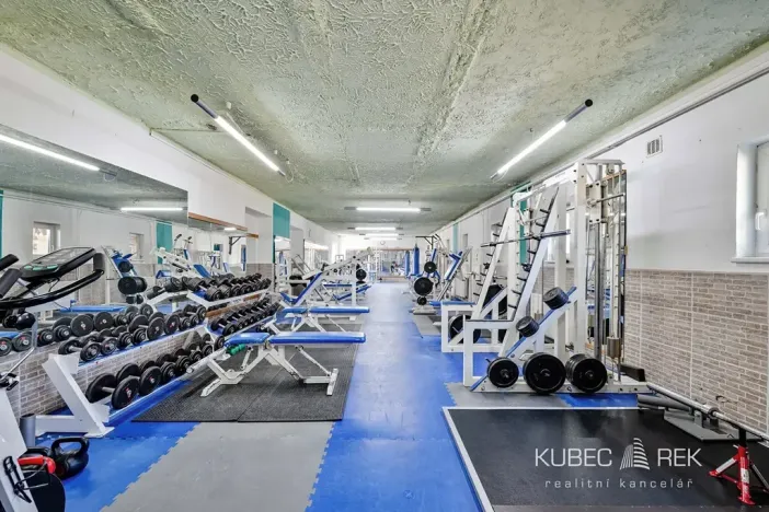 Prodej komerční nemovitosti, Soběslav, 514 m2