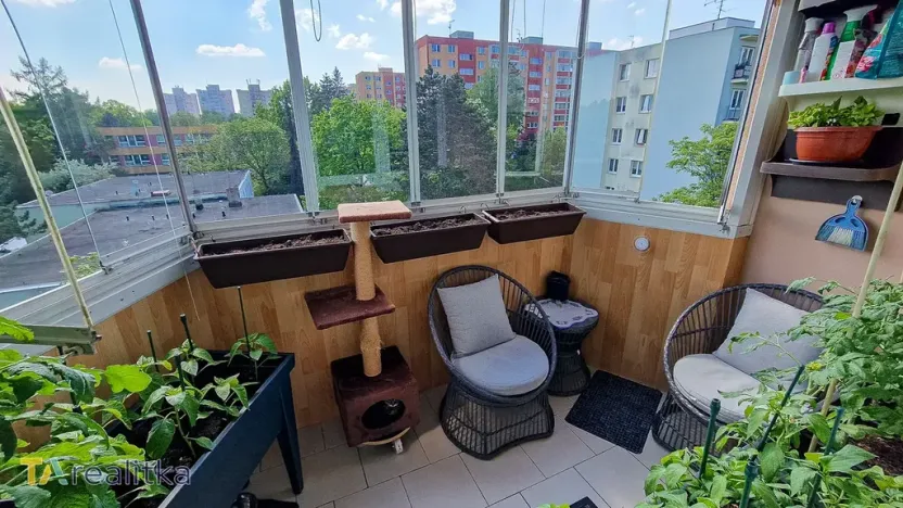Prodej bytu 3+1, Orlová, Školní, 66 m2