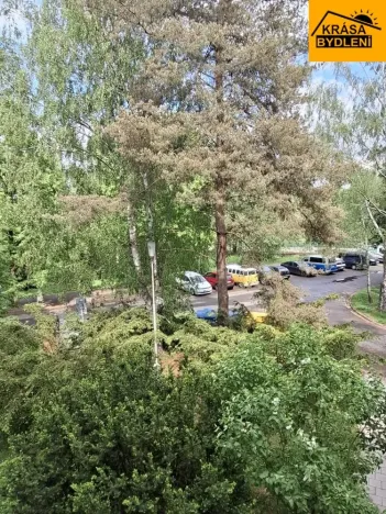 Pronájem bytu 1+kk, Olomouc, Jarmily Glazarové, 27 m2