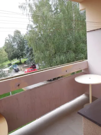 Pronájem bytu 2+kk, Borovany, Třeboňská, 47 m2