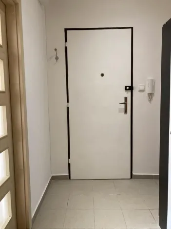 Pronájem bytu 1+kk, Praha - Nusle, Doudlebská, 29 m2