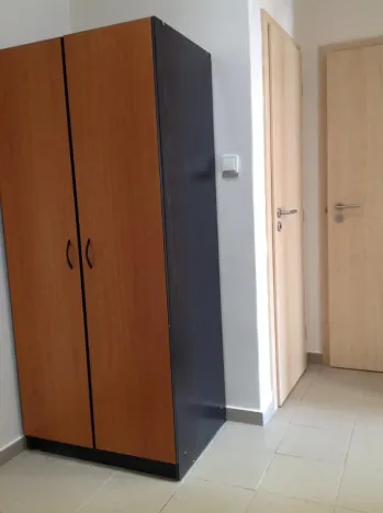 Pronájem bytu 1+kk, Praha - Nusle, Doudlebská, 29 m2