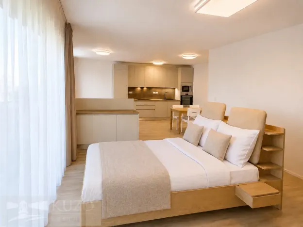 Pronájem bytu 2+kk, Brno, Auerswaldova, 62 m2
