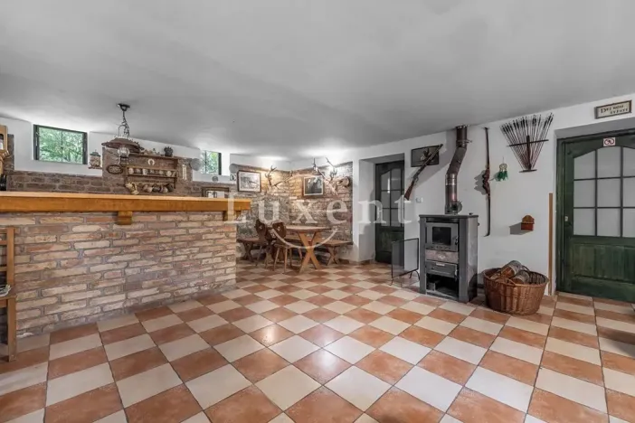 Prodej komerční nemovitosti, Stříbrná Skalice, 1700 m2