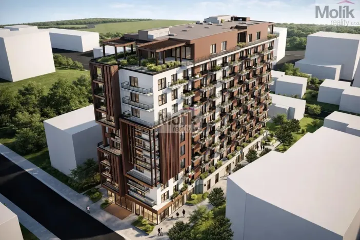 Prodej bytu 2+kk, Golem, 95 m2