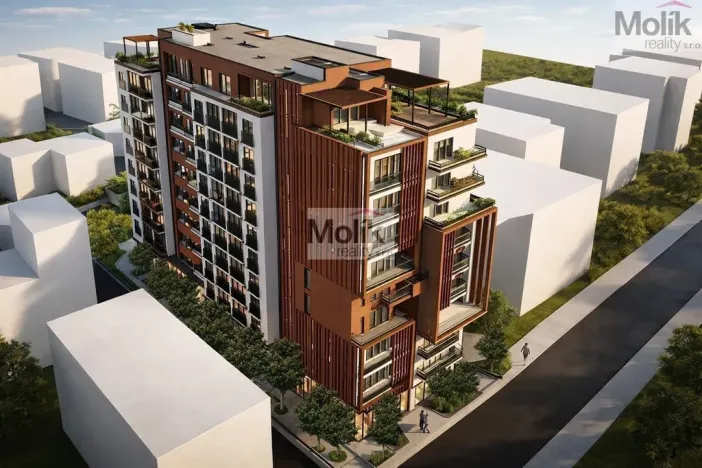 Prodej bytu 2+kk, Golem, 95 m2