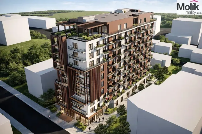 Prodej bytu 2+kk, Golem, 82 m2