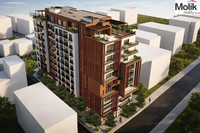 Prodej bytu 2+kk, Golem, 82 m2