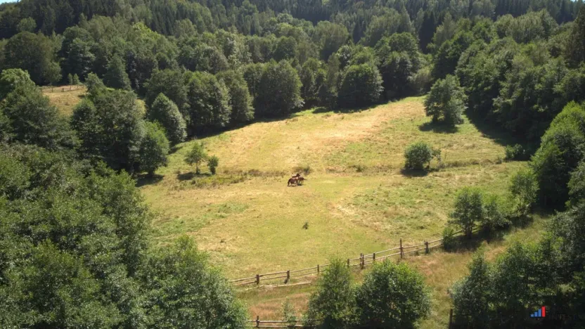 Prodej pozemku pro bydlení, Olešnice v Orlických horách, 3027 m2
