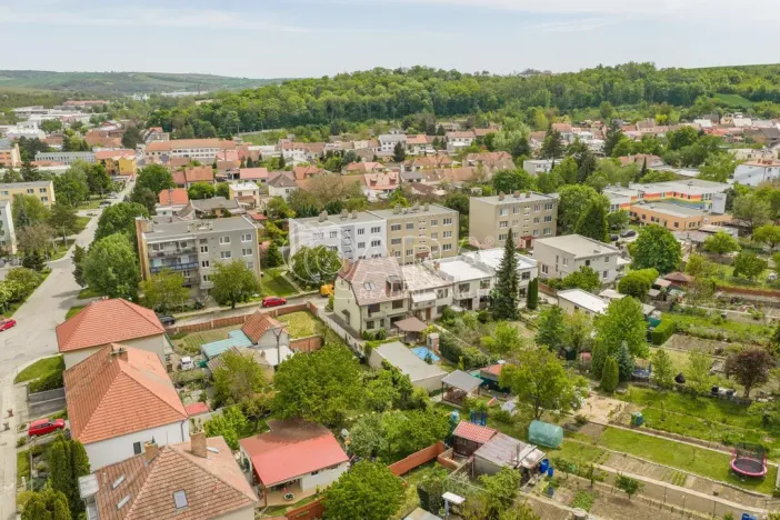 Prodej vícegeneračního domu, Hustopeče, Školní, 229 m2