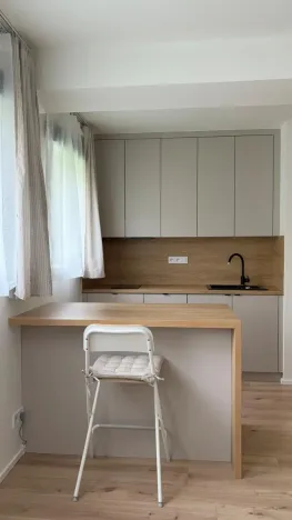 Pronájem bytu 1+kk, Praha - Strašnice, Strančická, 30 m2