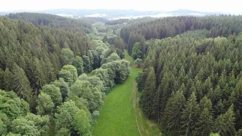 Prodej pole, Chotěvice, 2083 m2