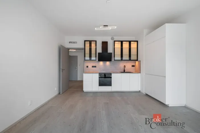 Prodej bytu 2+kk, Brno - Staré Brno, Nové sady, 80 m2