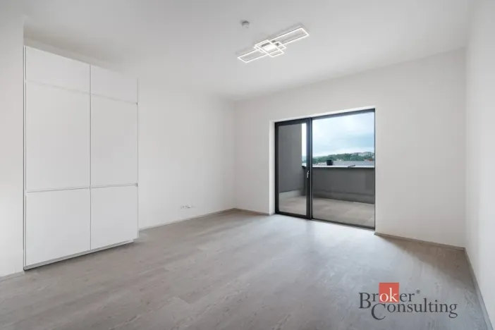 Prodej bytu 2+kk, Brno - Staré Brno, Nové sady, 80 m2