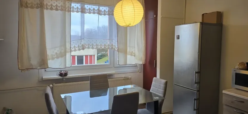 Pronájem bytu 1+1, Ústí nad Labem - Mojžíř, Peškova, 36 m2