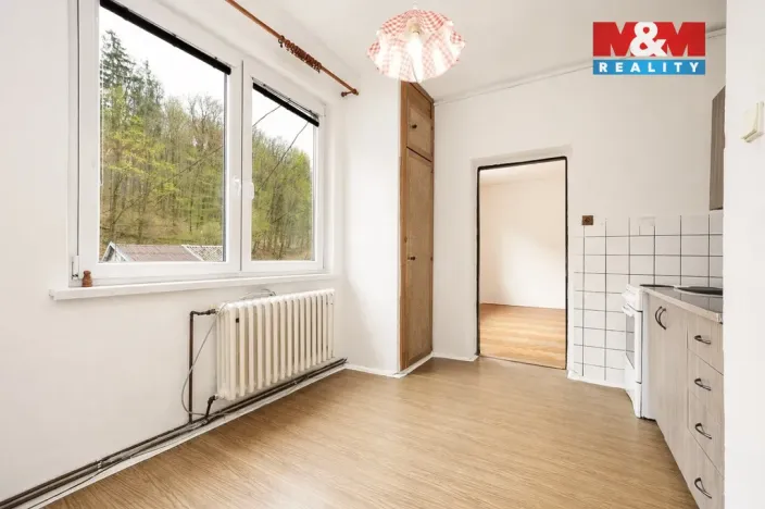 Prodej bytu 2+1, Šternberk, Dolní Žleb, 58 m2