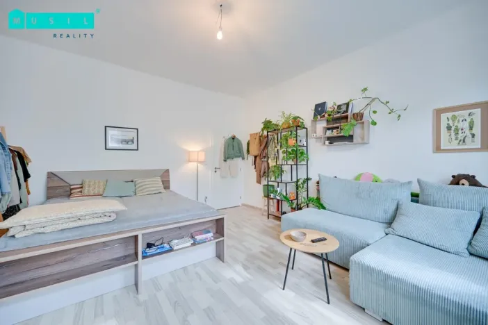 Pronájem bytu 1+1, Olomouc - Nové Sady, Rooseveltova, 65 m2