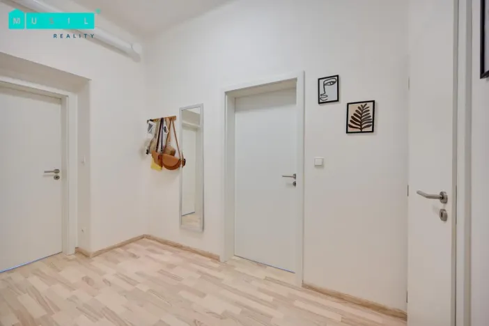 Pronájem bytu 1+1, Olomouc - Nové Sady, Rooseveltova, 65 m2