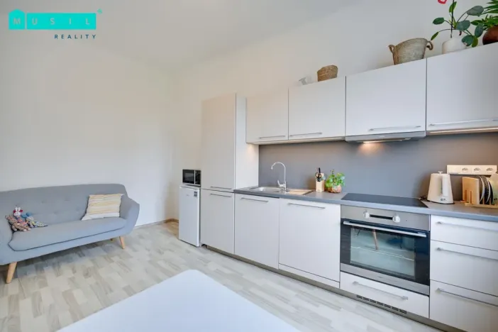 Pronájem bytu 1+1, Olomouc - Nové Sady, Rooseveltova, 65 m2