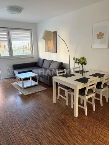 Pronájem bytu 2+kk, Praha - Žižkov, V zahrádkách, 56 m2