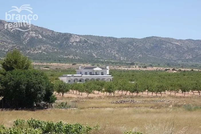 Prodej rodinného domu, Pinoso, Alicante, Španělsko, 245 m2