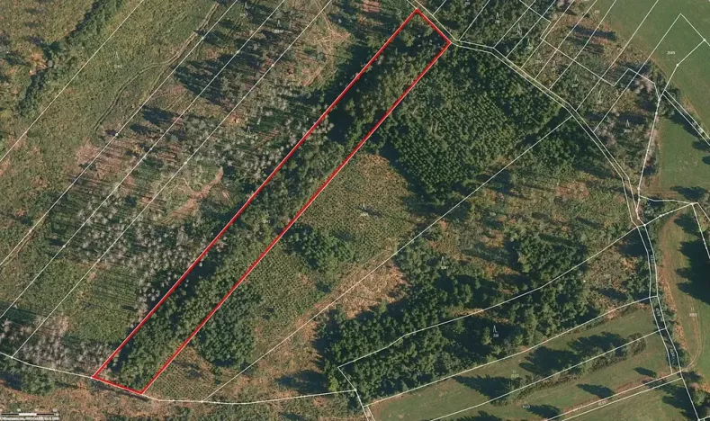 Prodej lesa, Strmilov, 10311 m2
