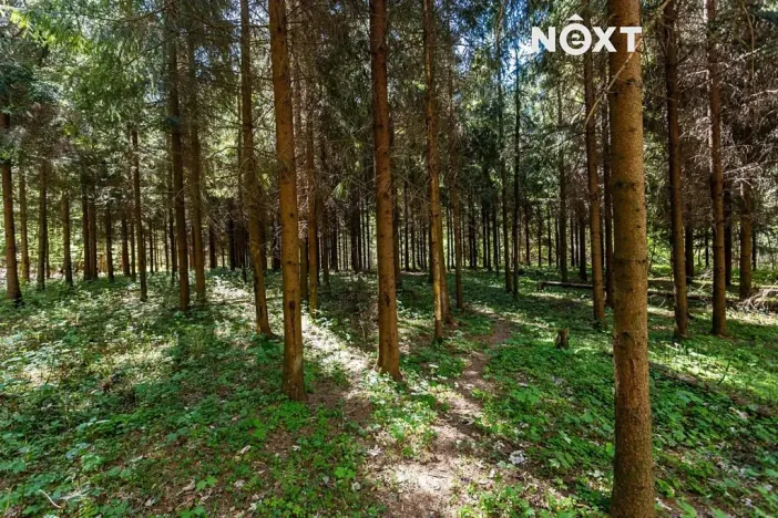 Prodej rodinného domu, Dobratice, 210 m2