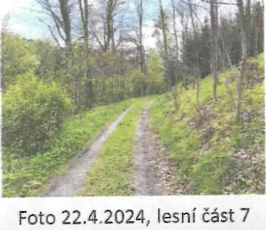 Prodej pozemku, Domašov nad Bystřicí, 9063 m2