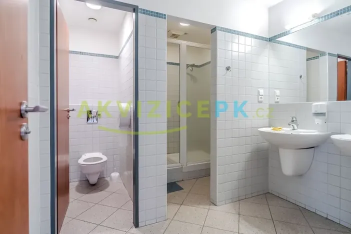 Prodej komerční nemovitosti, Ústí nad Labem, Mírové náměstí, 4220 m2
