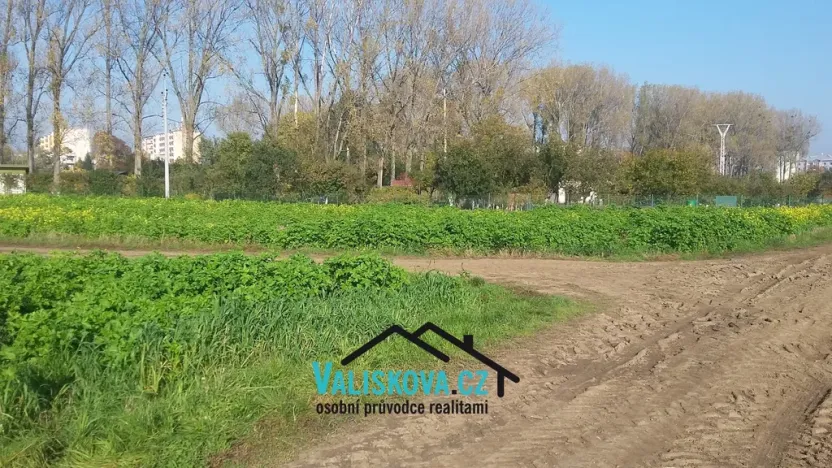 Prodej pole, Hulín, 710 m2