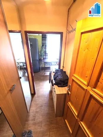 Pronájem bytu 1+1, Plzeň - Lobzy, Partyzánská, 30 m2