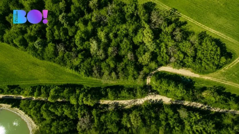 Prodej pozemku pro bydlení, Zástřizly, 203 m2
