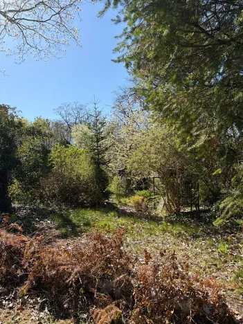 Prodej rodinného domu, Mnichovo Hradiště, Nad Skalou, 150 m2
